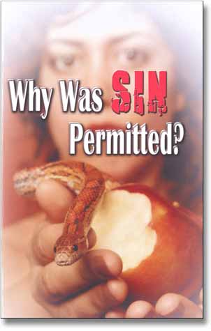Why Was Sin Permitted