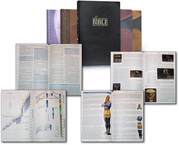KJV Study Bible, Black Top Grain Leather Cover
