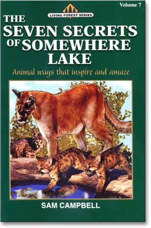 Vol 07: Seven Secrets of Somewhere Lake, The
