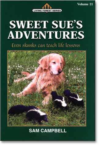Vol 11: Sweet Sue's Adventures